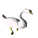 swan animearre-ôfbyldings-gif